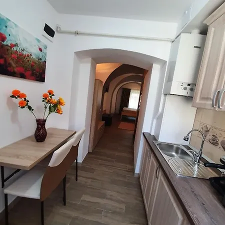 Apartment Radu Apartament