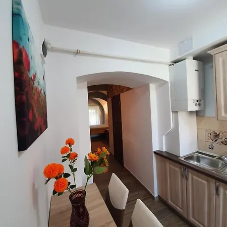 Apartment Radu Apartament *